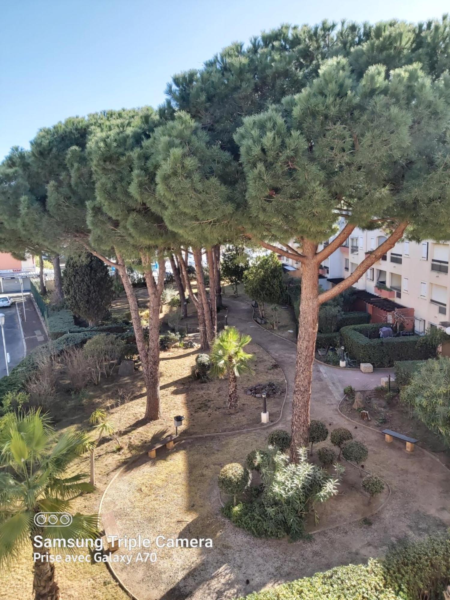 Coquet Studio Centre Port Cap D'Agde Zewnętrze zdjęcie